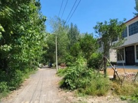 为何男人对回老家有如此深厚的执念呢?